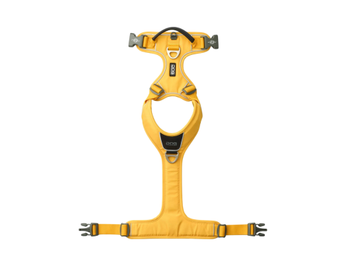 HARNAIS DOG COPENHAGEN WALK PRO LEMON