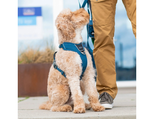 HARNAIS DOG COPENHAGEN WALK PRO LEMON