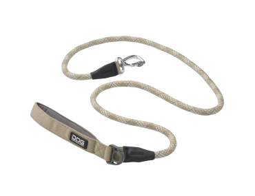 laisse chien balade dog Copenhagen dune urban rose desert