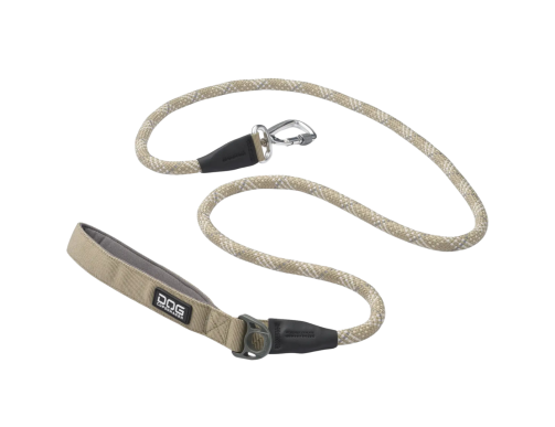 laisse chien balade dog Copenhagen dune urban rose desert