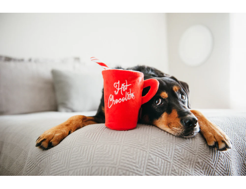 CHOCOLAT CHAUD POUR CHIEN