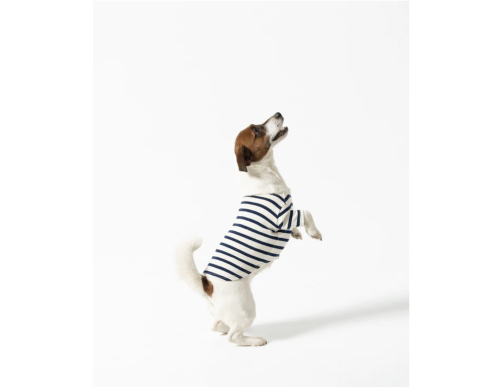 TOUTOUNIERE ECRU-MARINE