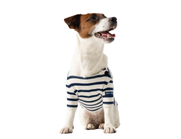 toutouniere pull marinière pour chien manteau marine rayé