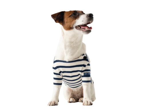toutouniere pull marinière pour chien manteau marine rayé