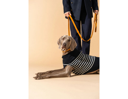 TOUTOUPULL NAVY-ECUME