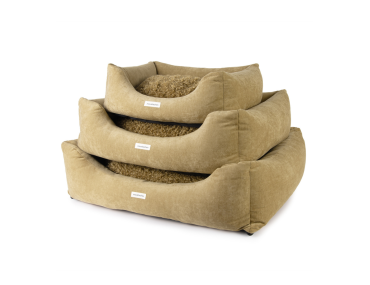 sofa moustaches ambre frisé velours chien grand petit