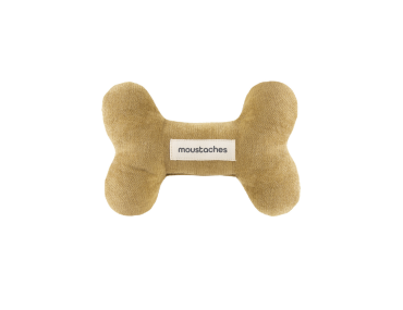 os moustaches chien velours frise ambre