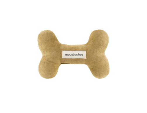 os moustaches chien velours frise ambre