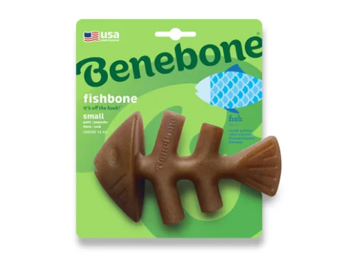 mastication saumon chien