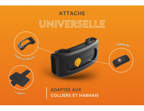 WEENECT XT GPS CHIEN SANS COLLIER