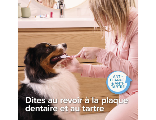 DENTIFRICE POUR CHIEN ET CHAT 100G DENTIFRICE POUR CHIEN ET CHAT 100G
