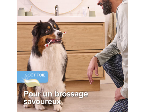 DENTIFRICE POUR CHIEN ET CHAT 100G DENTIFRICE POUR CHIEN ET CHAT 100G