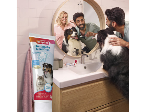 DENTIFRICE POUR CHIEN ET CHAT 100G DENTIFRICE POUR CHIEN ET CHAT 100G