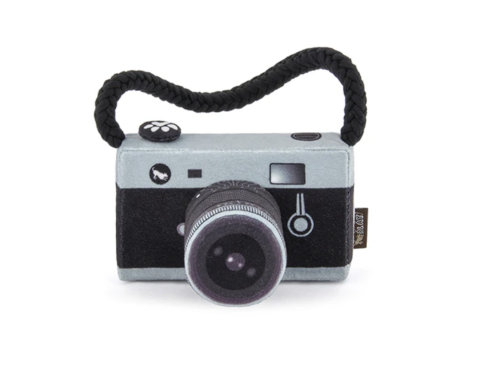 caméra jouet pour chien