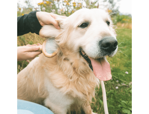 BROSSE BAMBOO UNIVERSELLE SMALL