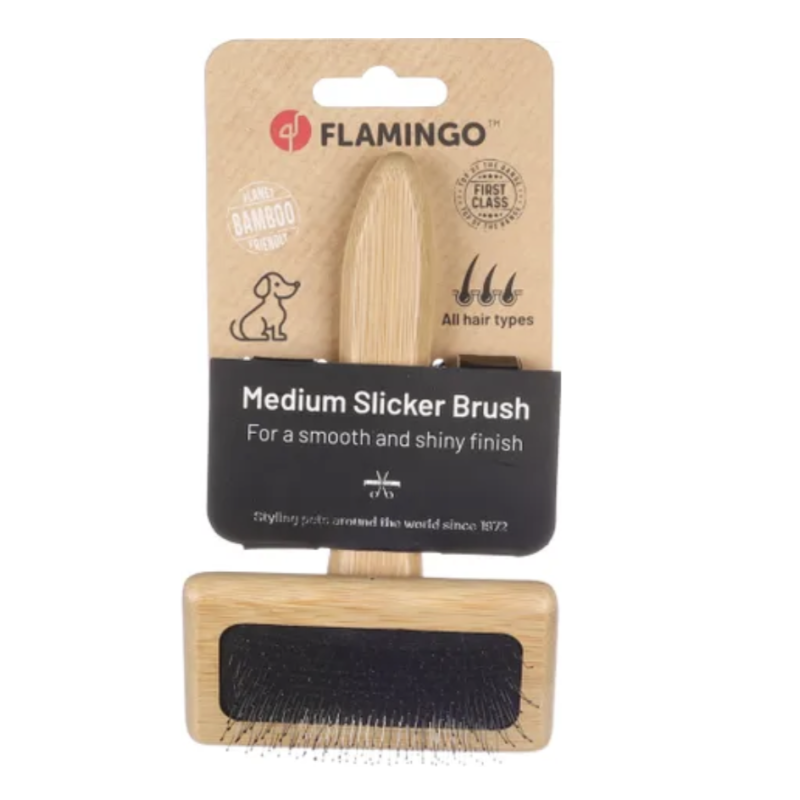 BROSSE CARDE BABU MEDIUM