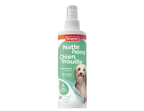 spray
chien
odeurs
probiotiques
sans rinçage
pelage
toilettage
Beaphar
rafraîchissant
Moustaches Paris