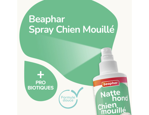 SPRAY CHIEN MOUILLE 250ML