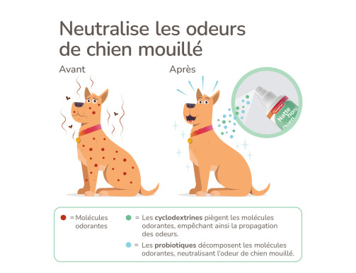 SPRAY CHIEN MOUILLE 250ML