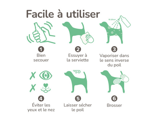 SPRAY CHIEN MOUILLE 250ML