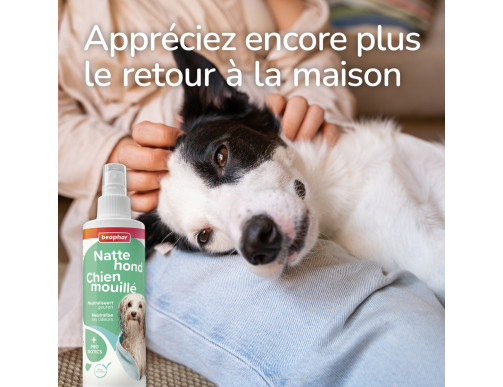 SPRAY CHIEN MOUILLE 250ML