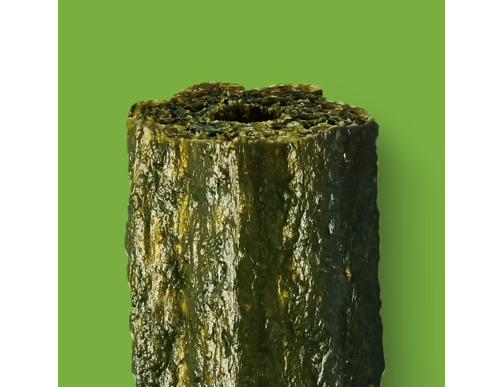 BATONNETS À MACHER LILYS WOOFBRUSH MEDIUM