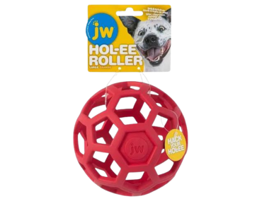 balle trou friandise occupation chien