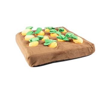 tapis de fouille carottes chien jeu intelligence