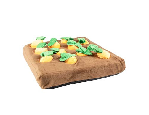 tapis de fouille carottes chien jeu intelligence