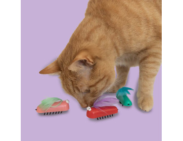 JOUET BUG ME NOT COOCKOO ASS.