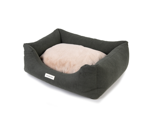 sofa moustaches velours côtelé vert foncé forêt chien