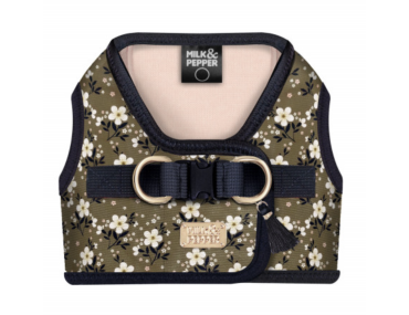 harnais chien confortable velcro ajustable floral élégant pratique sécurisé tendance design léger
