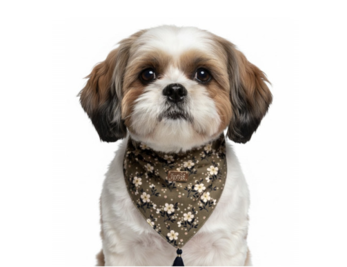 BANDANA CATHY LIBERTY