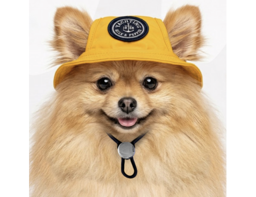 BOB ARGAN JAUNE