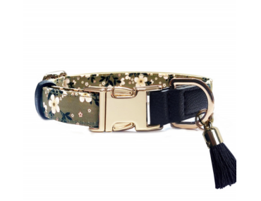collier chien kaki réglable confortable léger sécurité balade robuste design pratique élégant quotidien