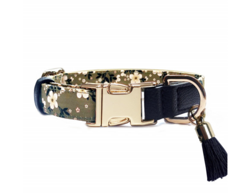 collier chien kaki réglable confortable léger sécurité balade robuste design pratique élégant quotidien