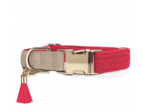 collier chien framboise réglable confortable léger sécurité balade design tendance pratique élégant canin