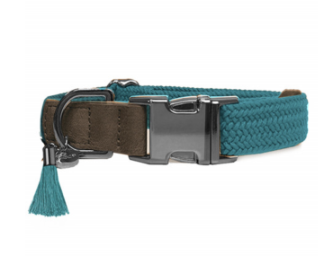 collier chien cuir menthe élégant robuste confortable sécurité luxe durable design balade qualité