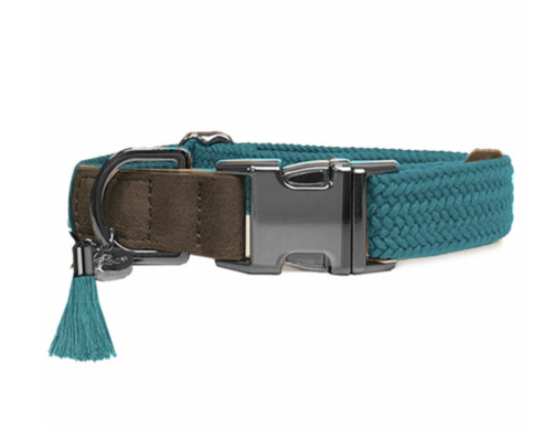 collier chien cuir menthe élégant robuste confortable sécurité luxe durable design balade qualité