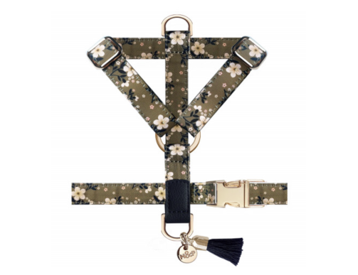 harnais chien kaki réglable confortable sécurité balade léger robuste design pratique élégant canin