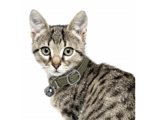 COLLIER CHAT VENDOME KAKI 1/30CM