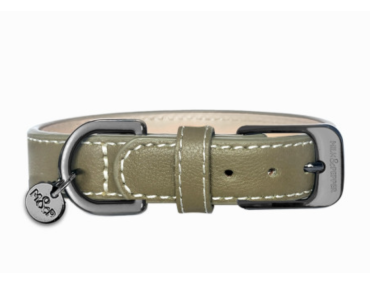 collier chien cuir kaki élégant robuste confortable sécurité luxe durable design balade qualité