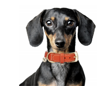 COLLIER VENDOME ORANGE