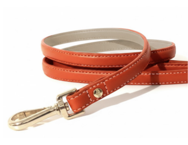 laisse chien cuir orange élégante robuste confortable balade style durable qualité pratique tendance