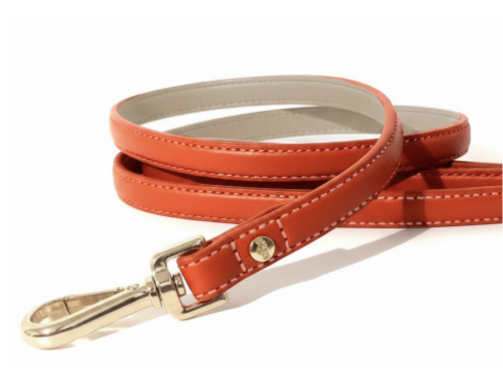 laisse chien cuir orange élégante robuste confortable balade style durable qualité pratique tendance