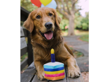 PLAY PARTY TIME BIRTHDAY CAKE