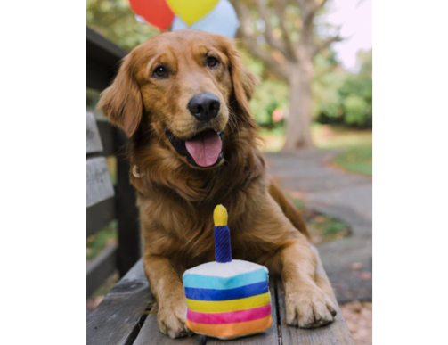 PLAY PARTY TIME BIRTHDAY CAKE