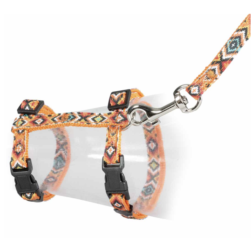 PACK HARNAIS ET LAISSE CHAT DESIGN INDIEN