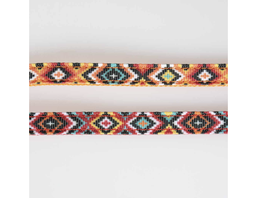 PACK HARNAIS ET LAISSE CHAT DESIGN INDIEN