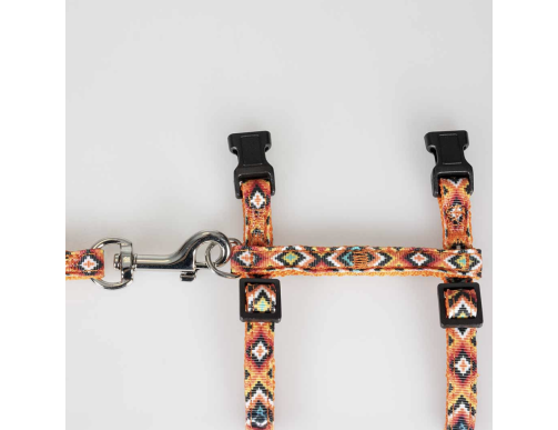 PACK HARNAIS ET LAISSE CHAT DESIGN INDIEN